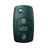 Shocking Car Key Remote