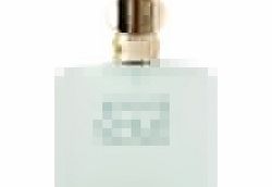 Acqua Di Gio Eau de Toilette