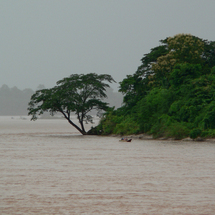 Golden Triangle and Mae Kong River Trip - Adult