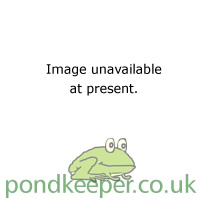 Gordon Low Firestone Pond Liner 4.88 x 3.66m   Half Price