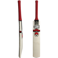 Gunn and Moore Purist II 707 Cricket Bat.