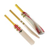 Gray-Nicolls Gray Nicolls Powerbow Atomic Cricket Bat (Short Handle,2lb 12oz)