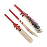 Gray-Nicolls Gray Nicolls Predator Slayer Cricket Bat (Short Handle,2lb 10oz)