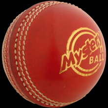 Gray Nicolls Mystery Ball