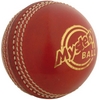 GRAY-NICOLLS MYSTERY CRICKET BALL (541905)