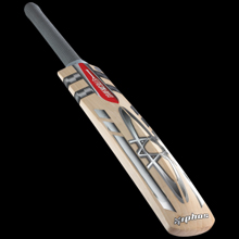 Gray Nicolls Nitro Blast