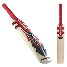 Predator 4 Star Cricket Bat