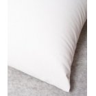 Green Fibres Organic Millet Pillow