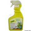 Indoor Plant Pest Spray 750ml