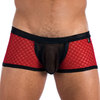 Gregg Homme Afterhour Boxer Brief