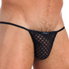 Gregg Homme Afterhour String