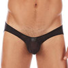 Gregg Homme Baller Brief