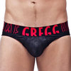 Gregg Homme bandito tribal brief