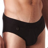 Gregg Homme heaven brief