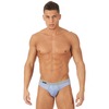 Gregg Homme Modal Lounge Briefs