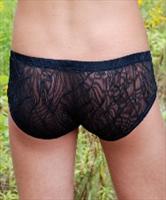 Gregg Homme Risque Brief