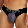 Gregg Homme room 69 brief