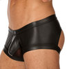 Gregg Homme scandal boxer brief