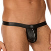 Gregg Homme scandal thong