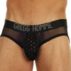 Gregg Homme sky brief