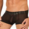 Gregg Homme tease boxer brief