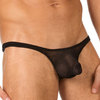 Gregg Homme tease thong