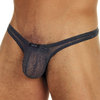 Gregg Homme tiger thong