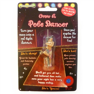Pole Dancer