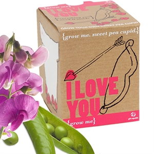 Sweet Peas