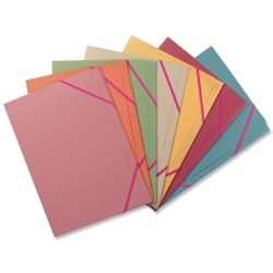 Professional Folio File Foolscap Buff