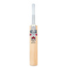 Flare DXM GM+ 909 Cricket Bat