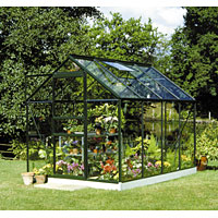 Popular Greenhouse 6`x 8`