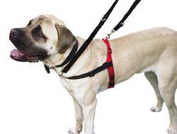 Dog Harness:M