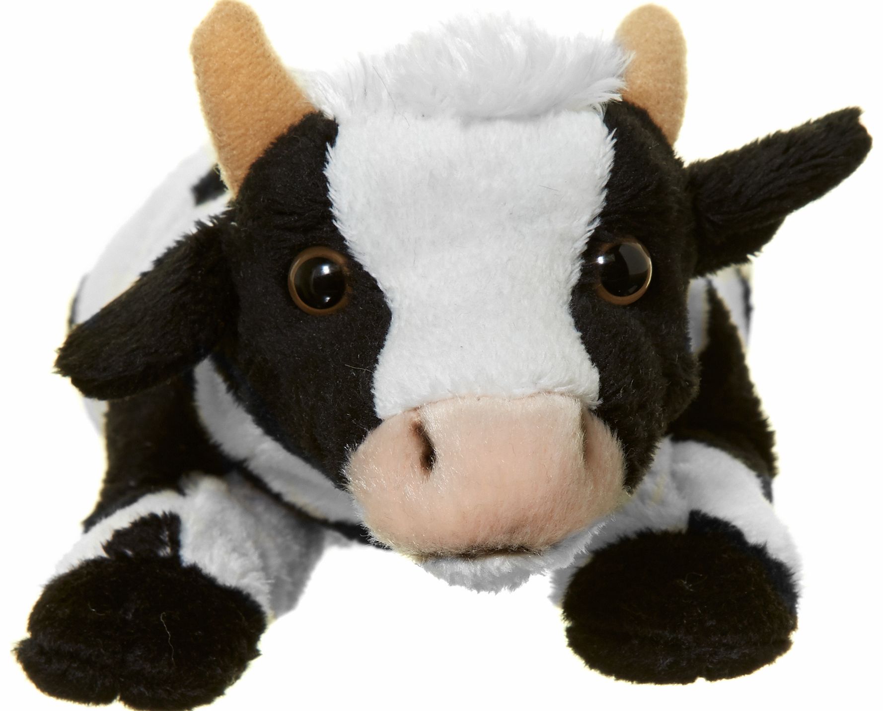 Mini Cow