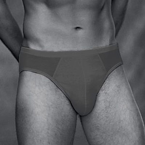 Hanro Cotton Sensation Brief Grey XL