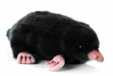 Hansa Toy Mole 22Cm