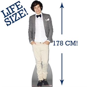 Styles Cardboard Cutout