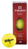 Wilson Championship 12 Pressureless Tennis Balls