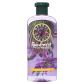RAINFORECT SHAMPOO DAZZLE SHINE