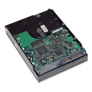 HP 458947-B21 160 GB Internal Hard Drive