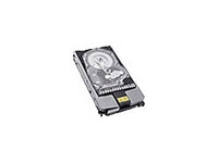 HP Dual Port hard drive - 300 GB - 4Gb Fibre Channel