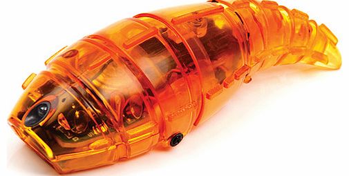 Hexbug Mechanical Hexbug Larva - Orange