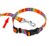 Hi-Craft BRIGHTON ROCK DESIGNER DOG LEAD