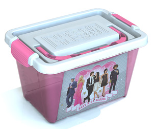 3, 3.5L Plastic Storage Container