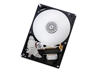 Deskstar 7K1000.B - hard drive - 320 GB - SATA-300