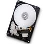 DeskStar 7K1000.B 750GB SATA-300 Hard Drive