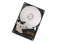 DeskStar P7K500 - hard drive - 250 GB - ATA-133