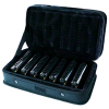 Blues Harmonica Set