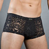 HOM Persia Comfort Trunk