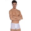 HOM Plume Trunk